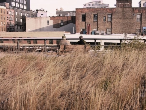 The High Line in New York - November 2009